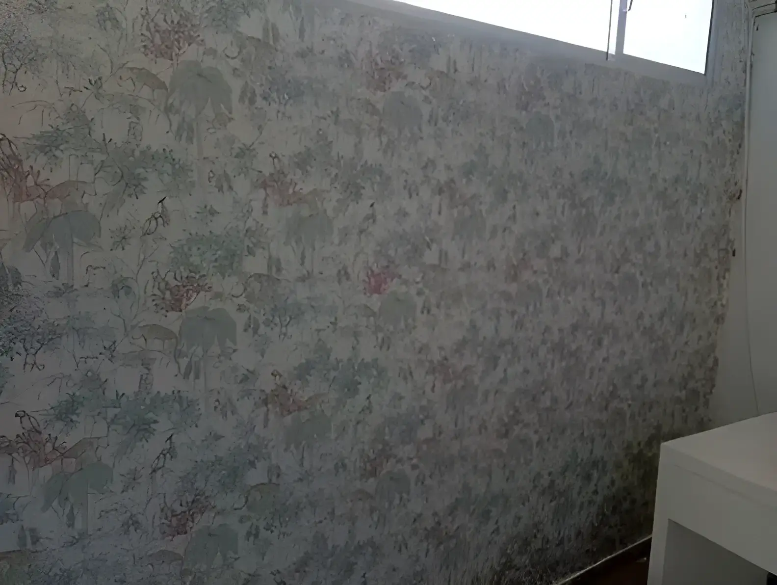 Los Pintores Alicante colocando papel pintado decorativo en pared completa de habitación
